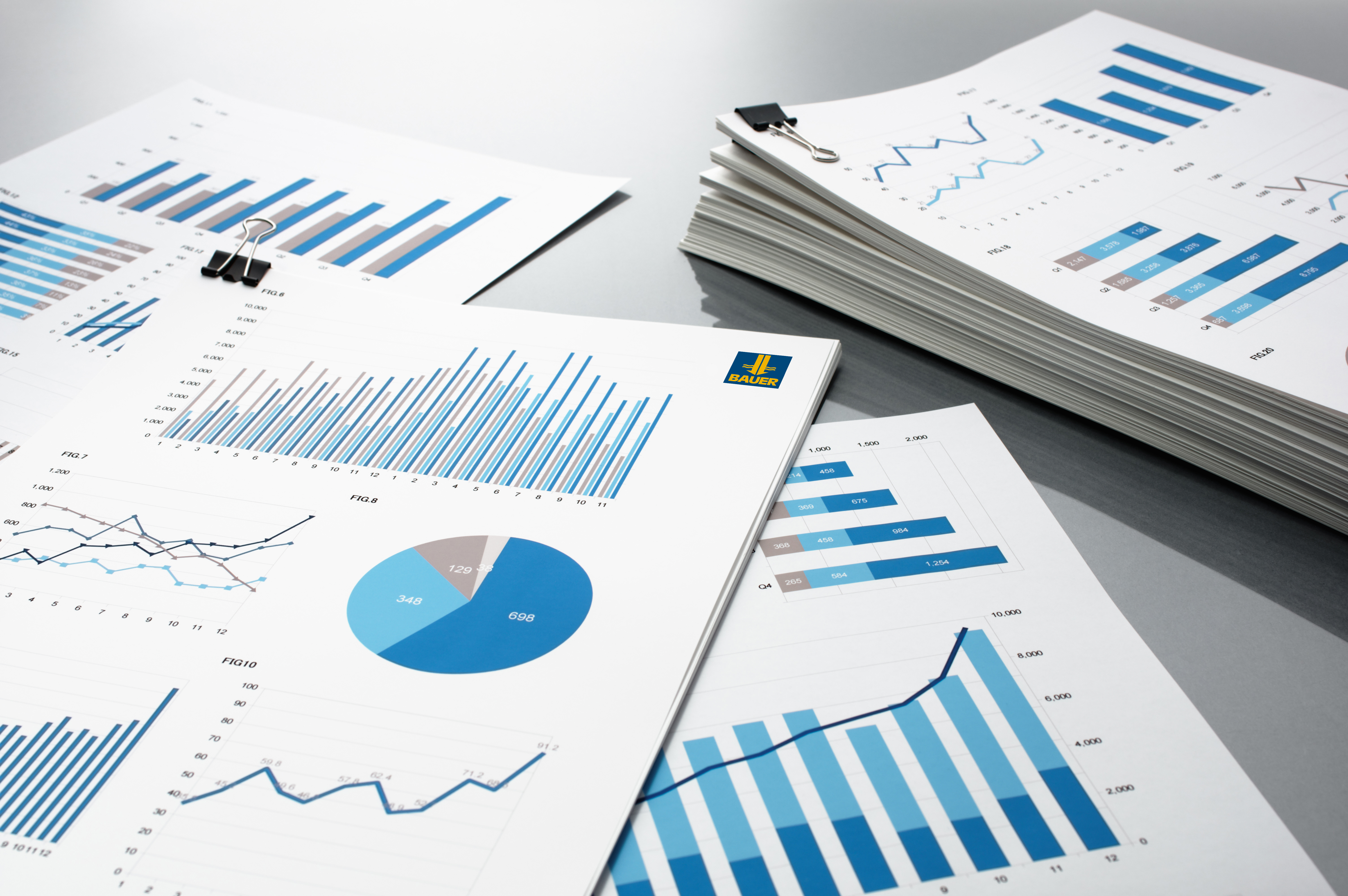 BAUER AG - Investor Relations Publikationen