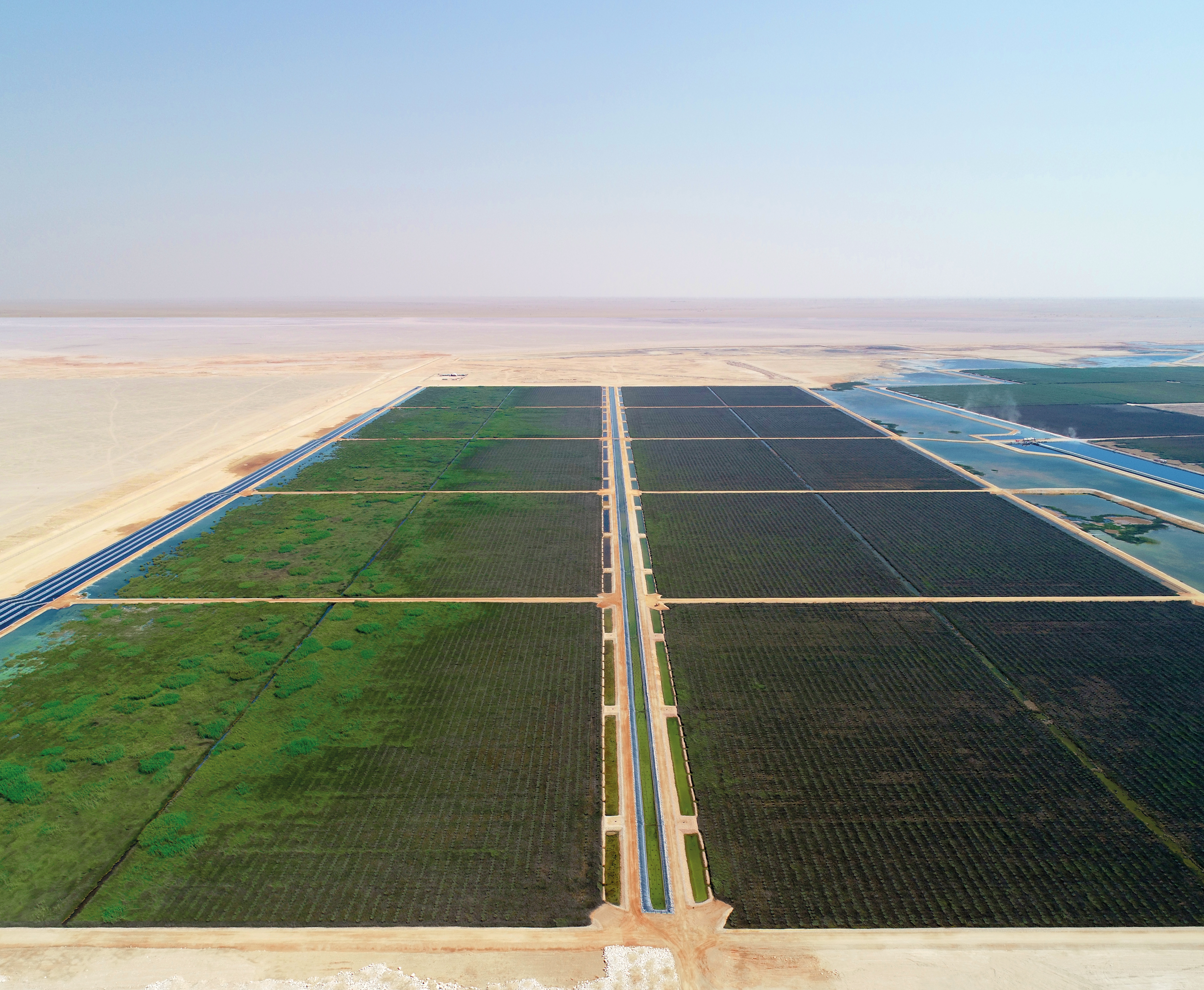 Nimr reed bed treatment plant on the cover of the Bauer Resources brochure