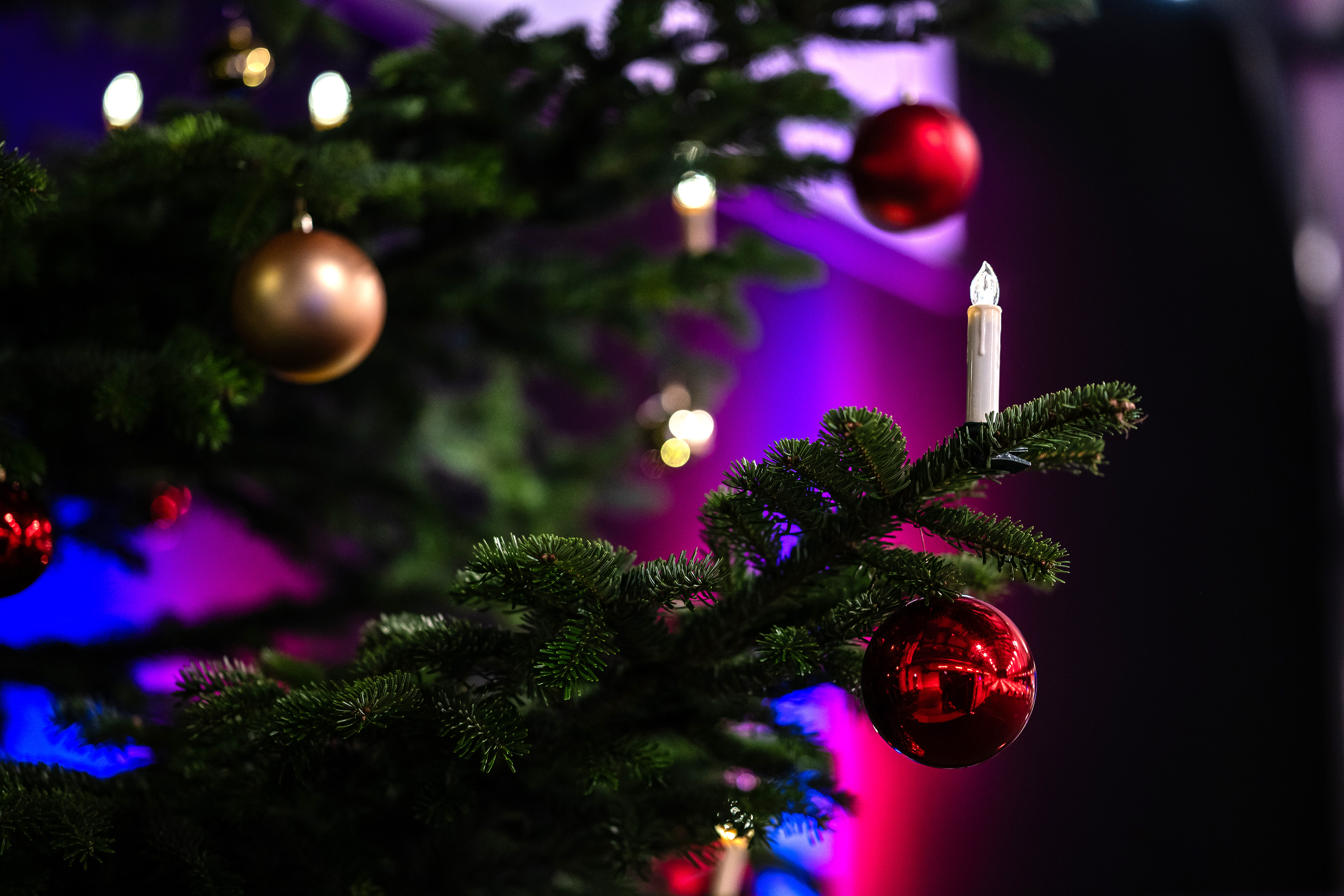 BAUER AG's 2025 Wish Tree Campaign: 150 wishes were granted once again