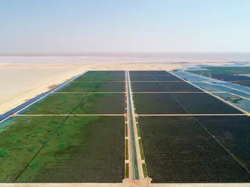 Schilfkläranlage Nimr auf Cover der Bauer Resources Broschüre 